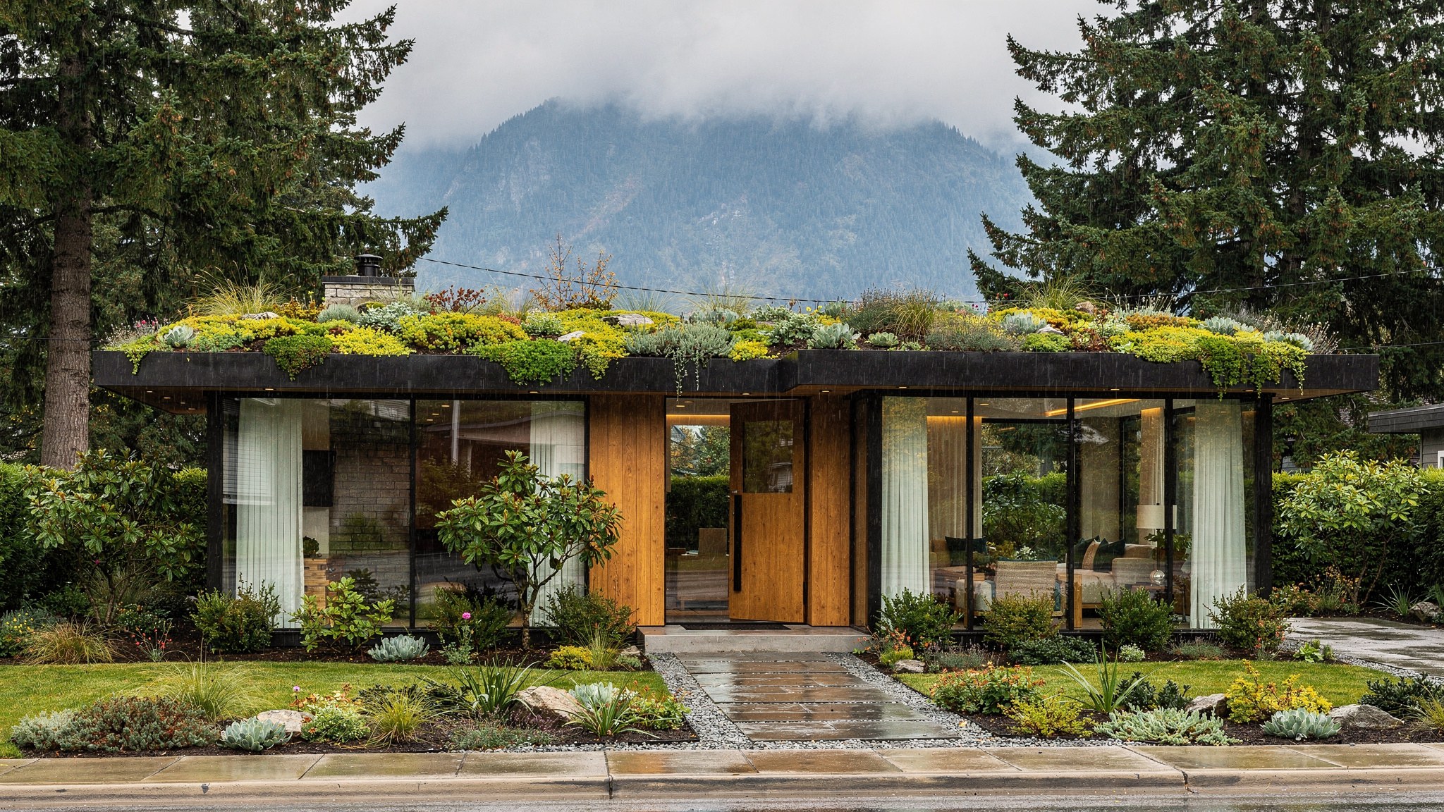 Green Roofs in Metro Vancouver: Trend Meets Real Performance